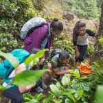 An extended family of hikers with backpacks stop to look at an edible mushroom (Laetiporus Cincinnatus, commonly known as Chicken of the Woods) during a hike through a remote wilderness park in Sooke, British Columbia, Canada.  Real, two generation multi-ethnic family.