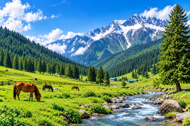 _Kashmir Paradise Express